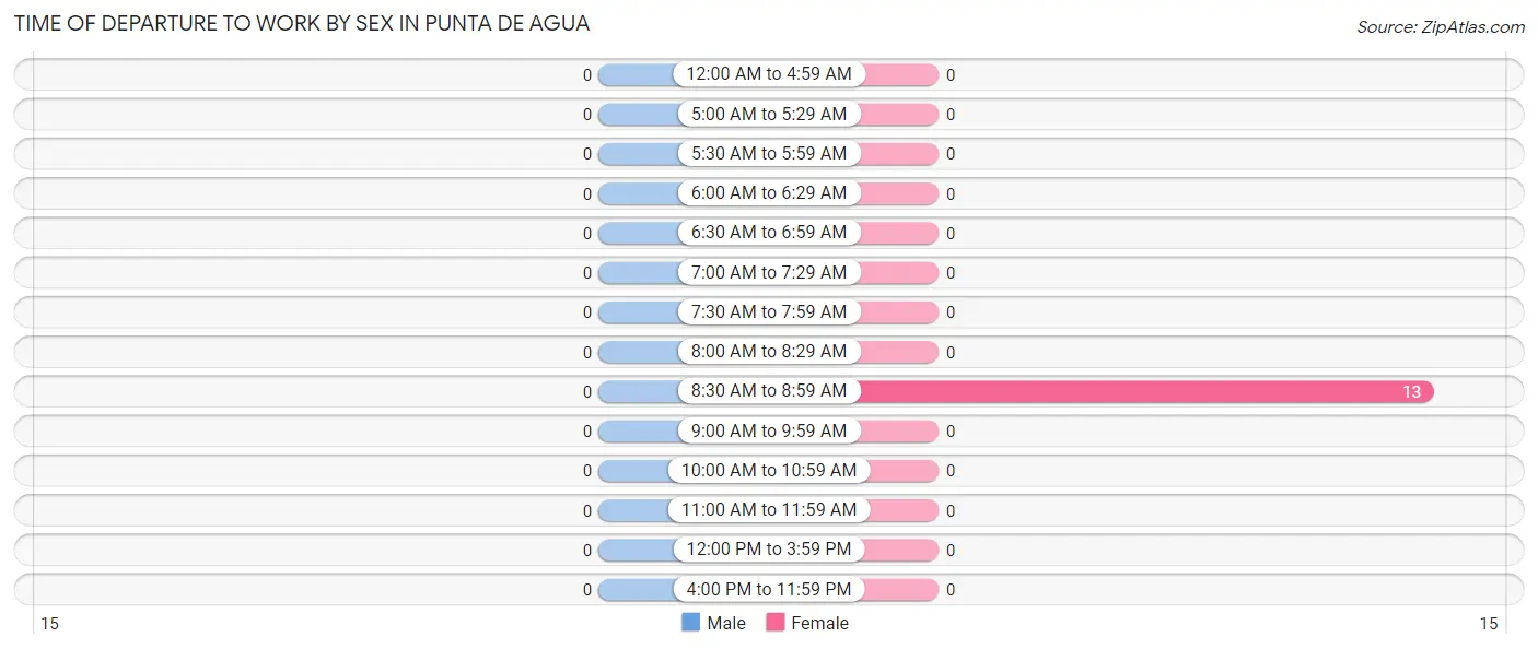 Time of Departure to Work by Sex in Punta de Agua