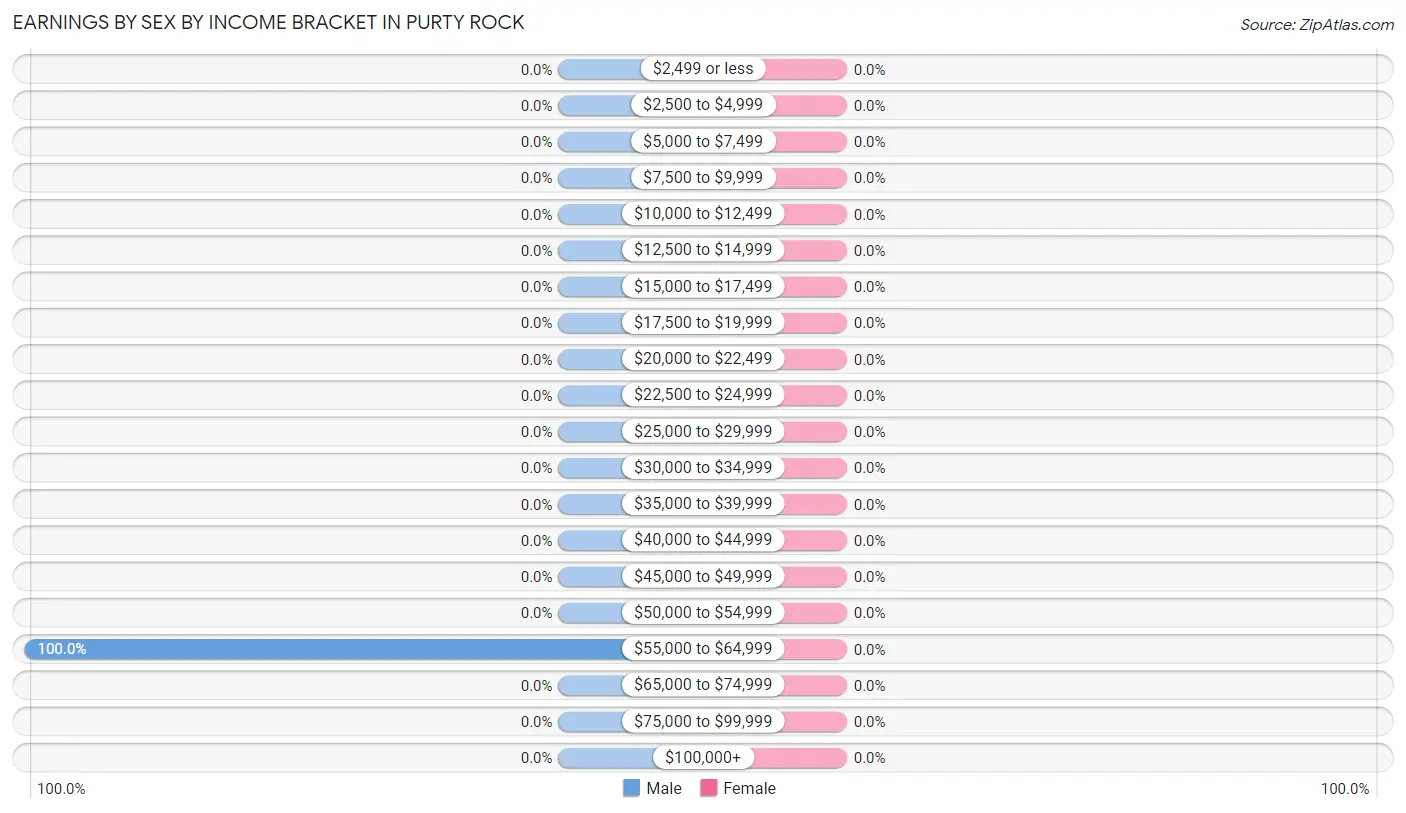 Earnings by Sex by Income Bracket in Purty Rock