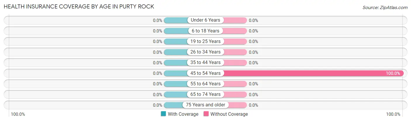 Health Insurance Coverage by Age in Purty Rock