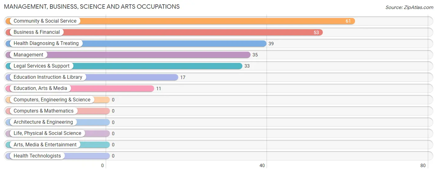 Management, Business, Science and Arts Occupations in Questa