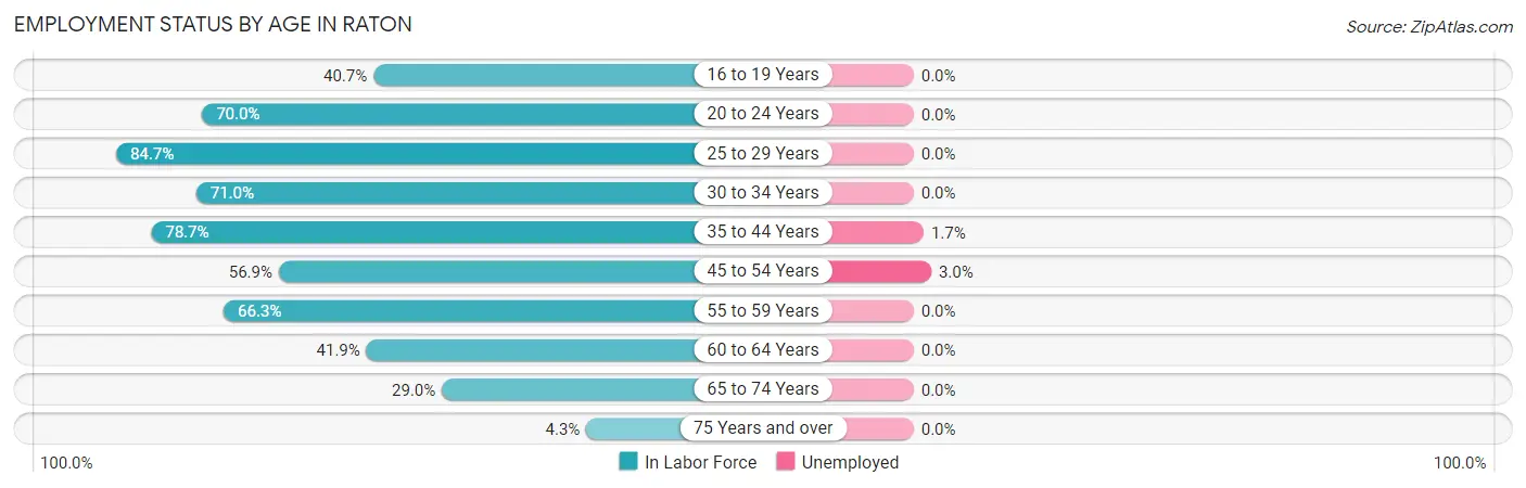 Employment Status by Age in Raton