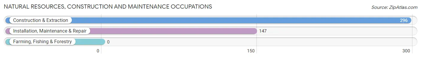 Natural Resources, Construction and Maintenance Occupations in Raton