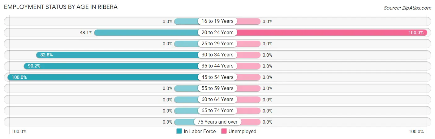 Employment Status by Age in Ribera