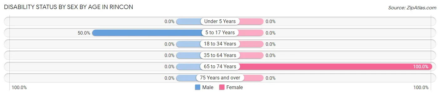 Disability Status by Sex by Age in Rincon
