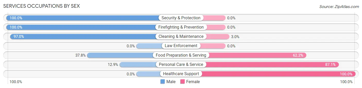 Services Occupations by Sex in Rio Communities