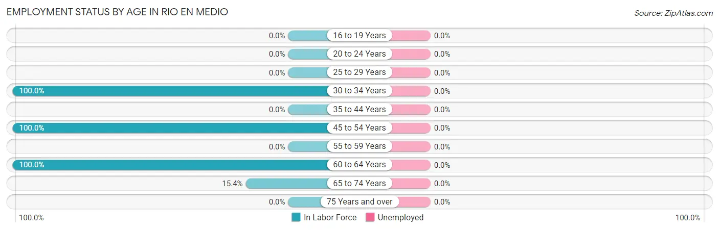 Employment Status by Age in Rio en Medio