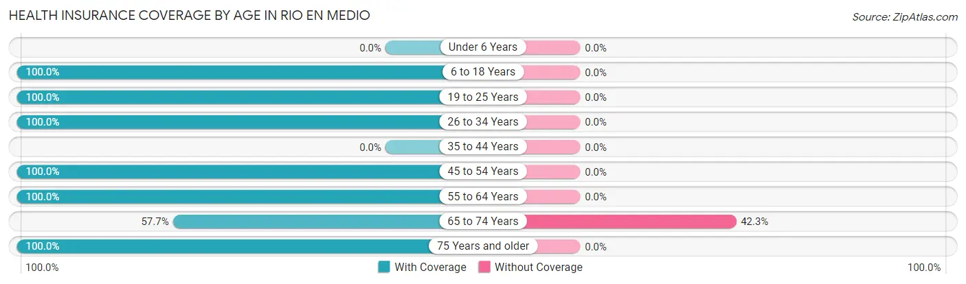 Health Insurance Coverage by Age in Rio en Medio