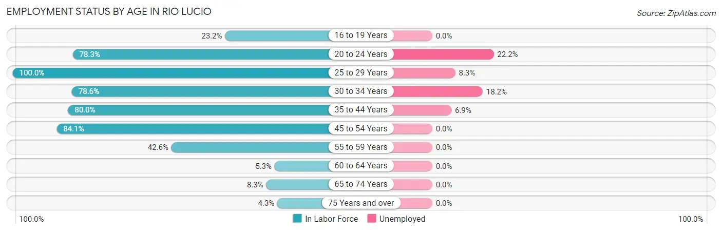 Employment Status by Age in Rio Lucio