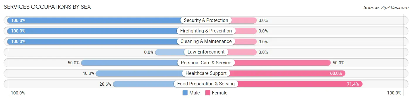 Services Occupations by Sex in Rio Lucio