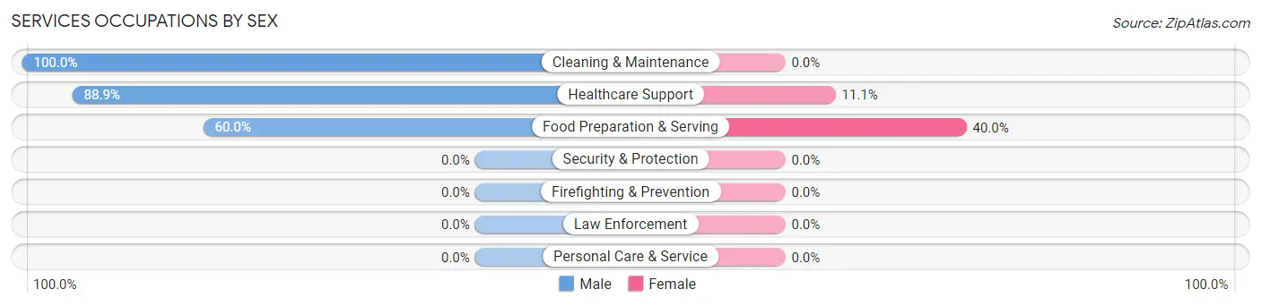 Services Occupations by Sex in Rock Springs