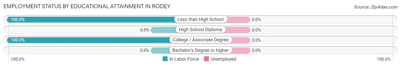 Employment Status by Educational Attainment in Rodey