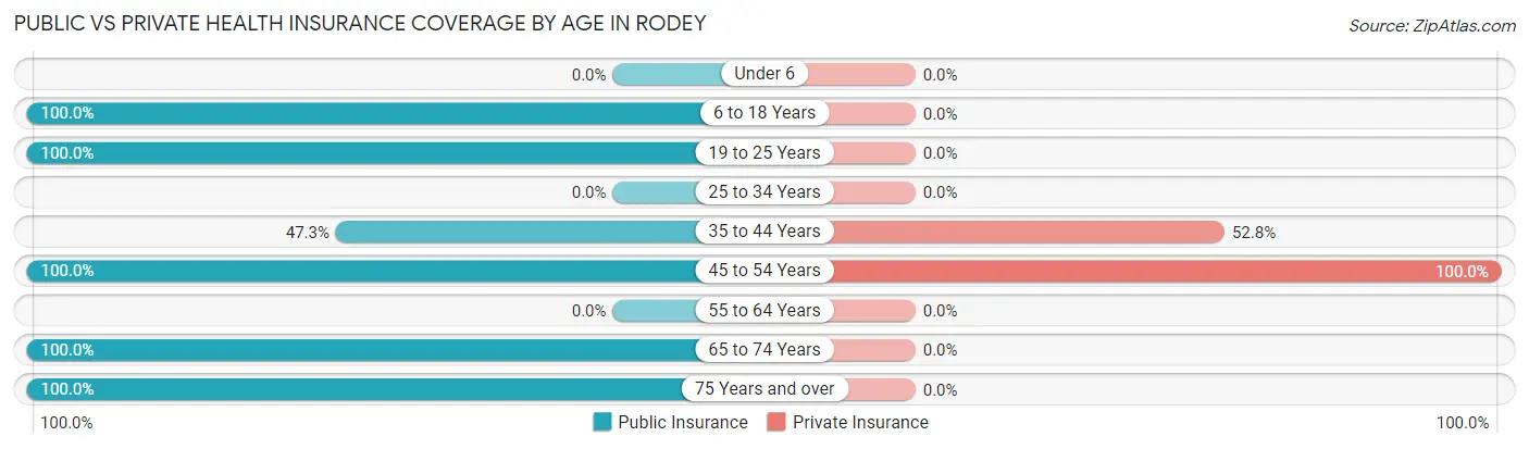 Public vs Private Health Insurance Coverage by Age in Rodey