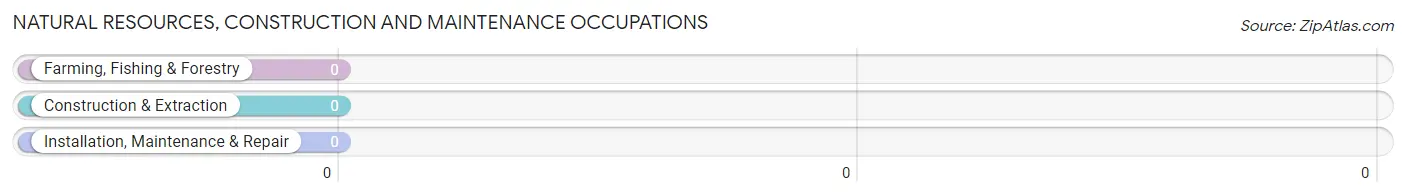 Natural Resources, Construction and Maintenance Occupations in Rosedale