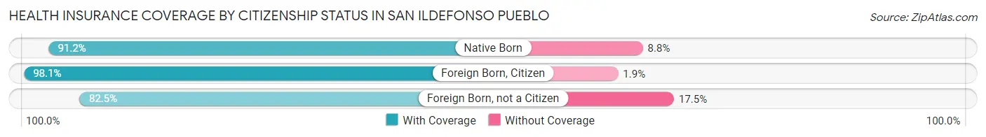 Health Insurance Coverage by Citizenship Status in San Ildefonso Pueblo