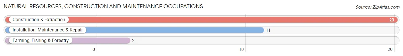 Natural Resources, Construction and Maintenance Occupations in San Ildefonso Pueblo