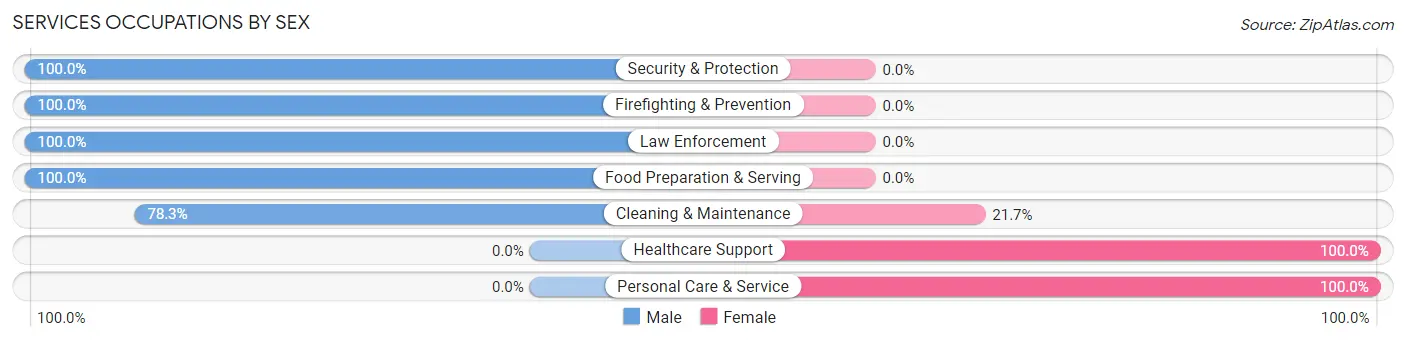 Services Occupations by Sex in San Jose CDP Rio Arriba County