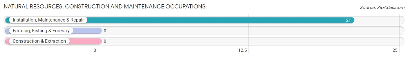 Natural Resources, Construction and Maintenance Occupations in San Jose CDP San Miguel County