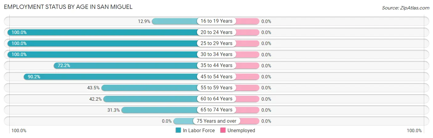 Employment Status by Age in San Miguel