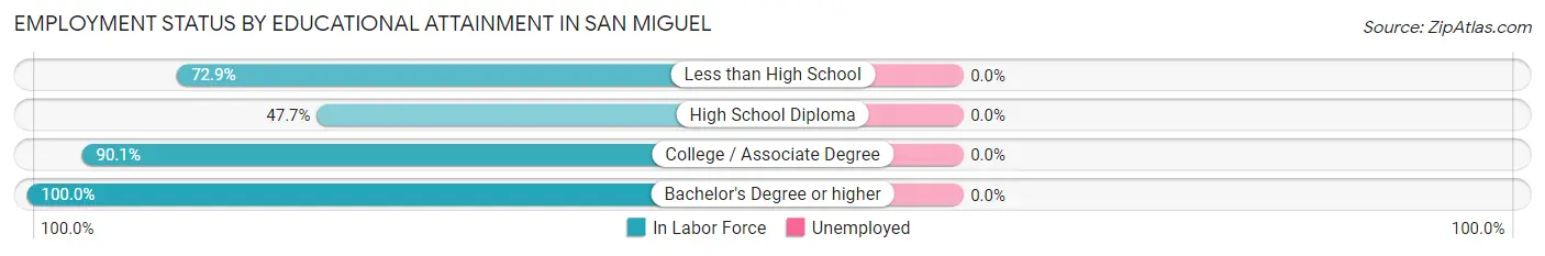 Employment Status by Educational Attainment in San Miguel