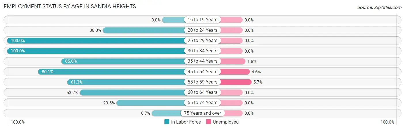 Employment Status by Age in Sandia Heights