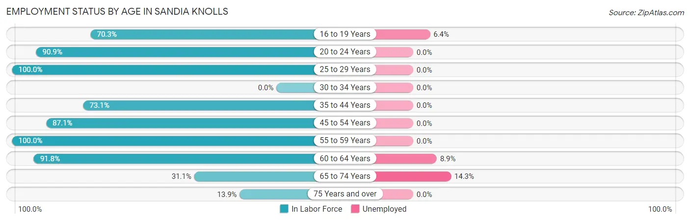 Employment Status by Age in Sandia Knolls