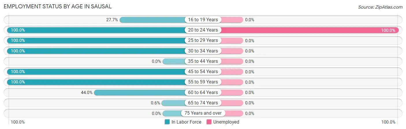 Employment Status by Age in Sausal