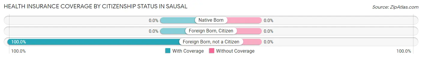 Health Insurance Coverage by Citizenship Status in Sausal