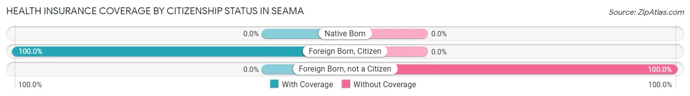 Health Insurance Coverage by Citizenship Status in Seama