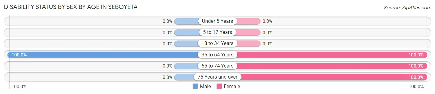 Disability Status by Sex by Age in Seboyeta