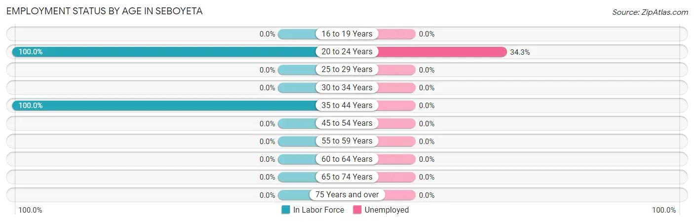 Employment Status by Age in Seboyeta