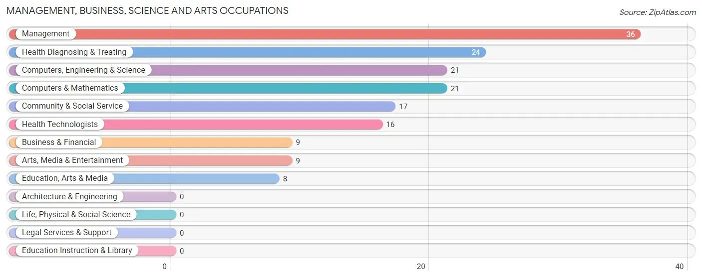 Management, Business, Science and Arts Occupations in Sedillo