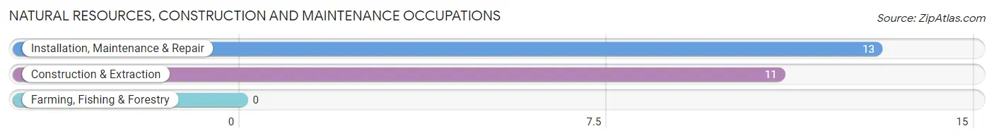 Natural Resources, Construction and Maintenance Occupations in Sedillo