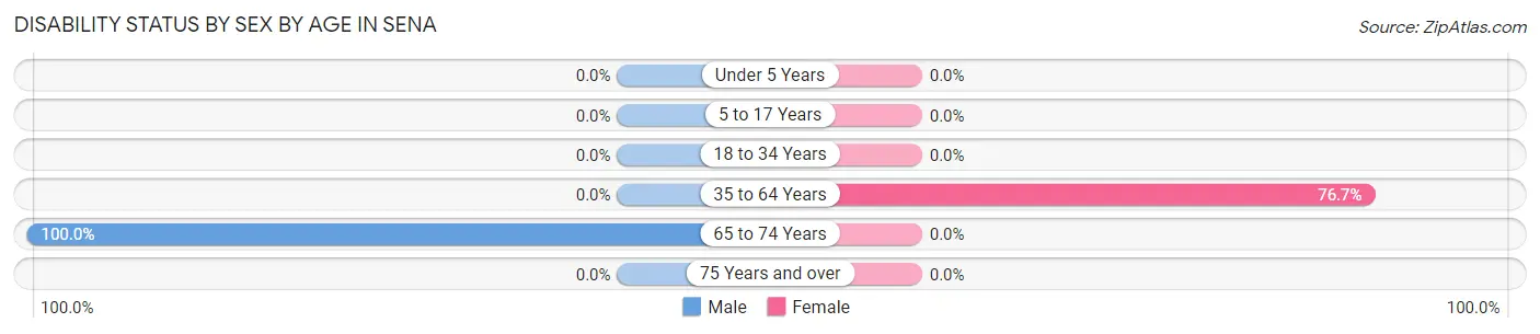 Disability Status by Sex by Age in Sena