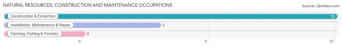 Natural Resources, Construction and Maintenance Occupations in Sheep Springs