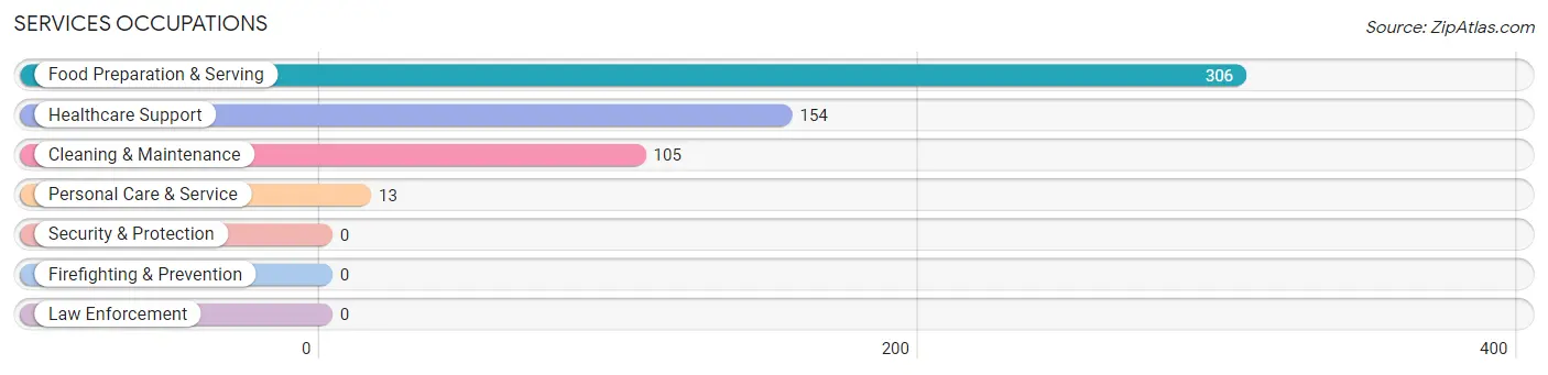 Services Occupations in Silver City