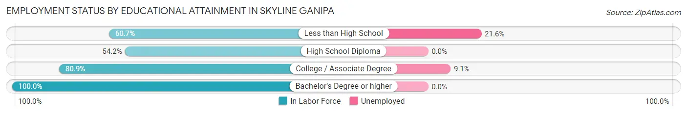 Employment Status by Educational Attainment in Skyline Ganipa