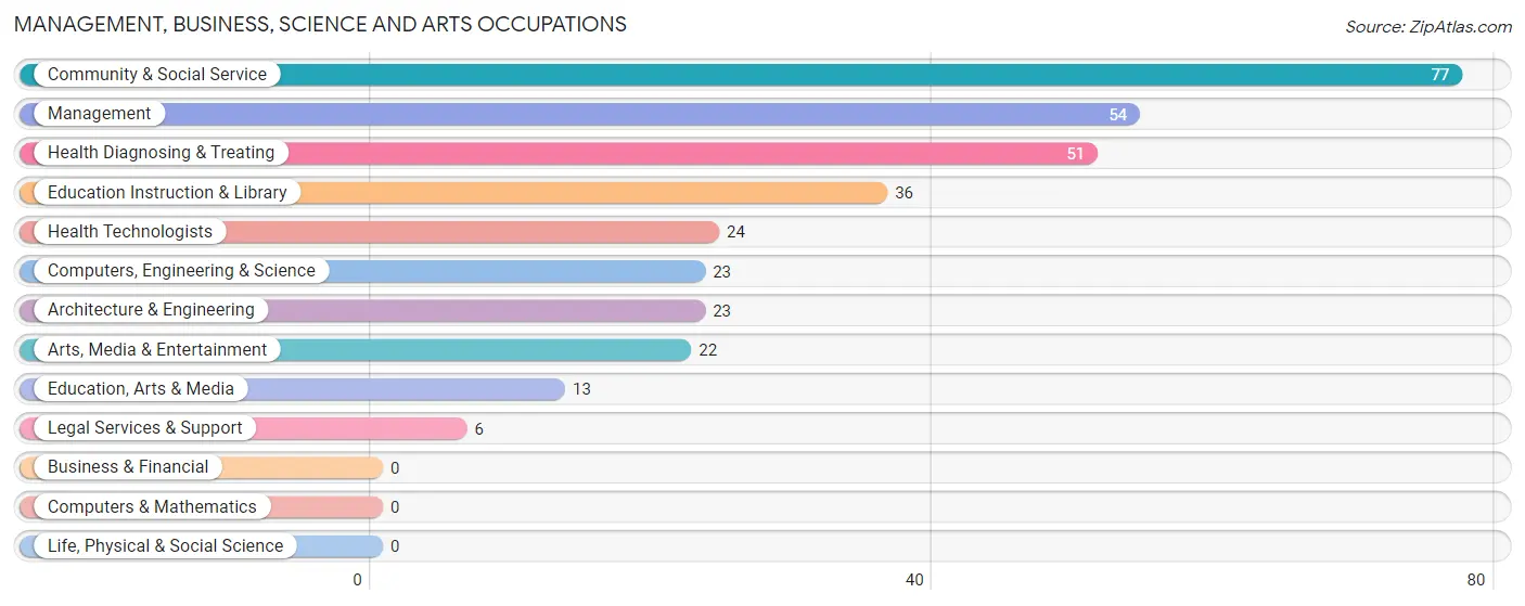 Management, Business, Science and Arts Occupations in Skyline Ganipa