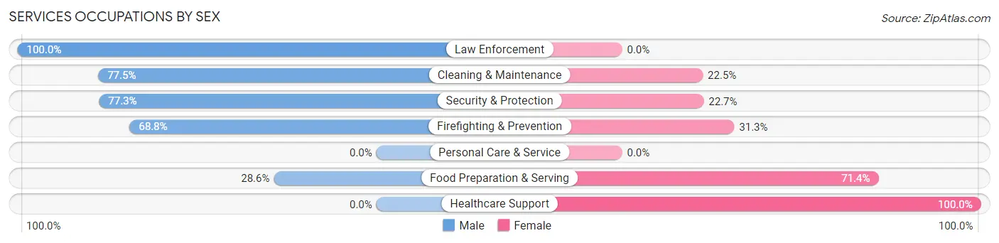 Services Occupations by Sex in Skyline Ganipa
