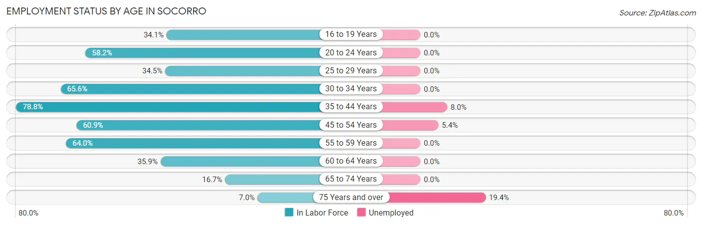 Employment Status by Age in Socorro