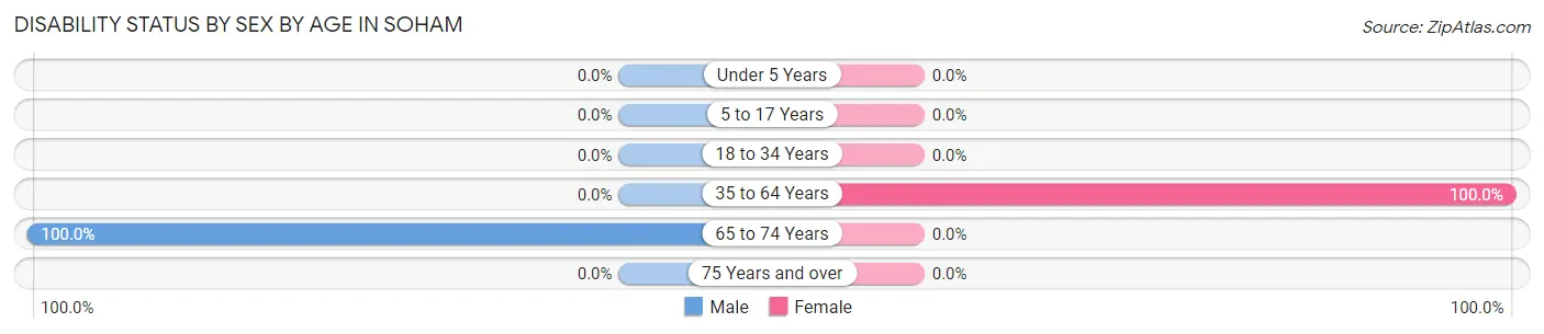 Disability Status by Sex by Age in Soham