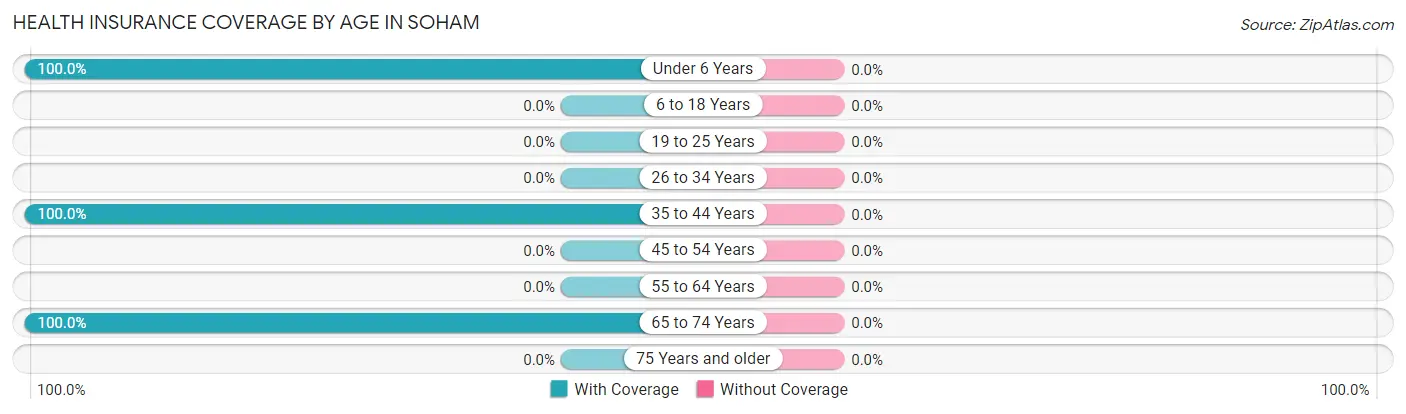 Health Insurance Coverage by Age in Soham