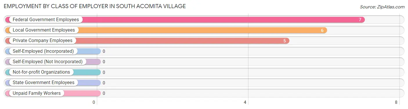 Employment by Class of Employer in South Acomita Village