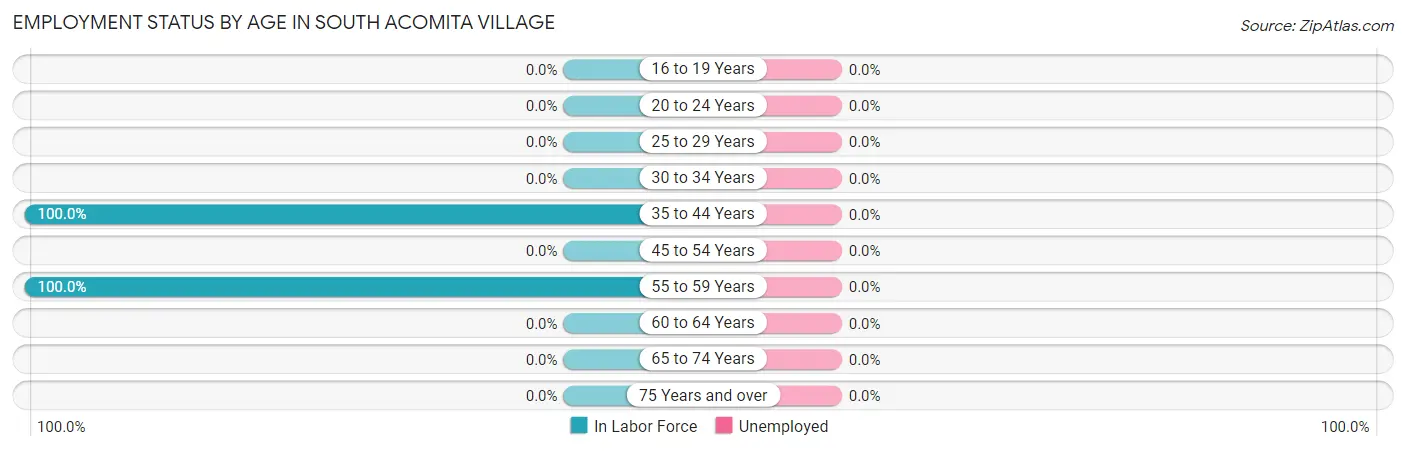 Employment Status by Age in South Acomita Village