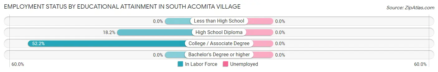 Employment Status by Educational Attainment in South Acomita Village