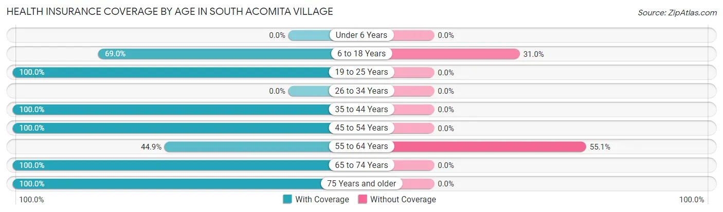 Health Insurance Coverage by Age in South Acomita Village