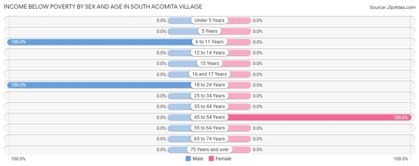 Income Below Poverty by Sex and Age in South Acomita Village