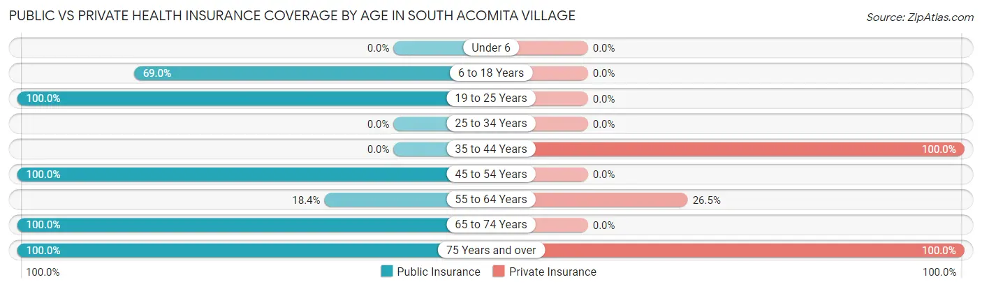 Public vs Private Health Insurance Coverage by Age in South Acomita Village