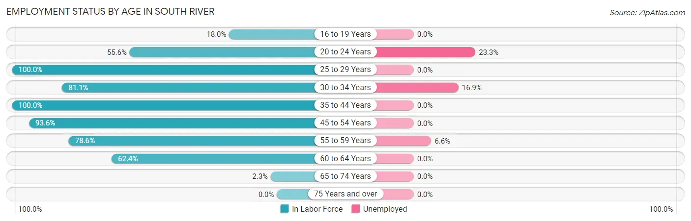 Employment Status by Age in South River
