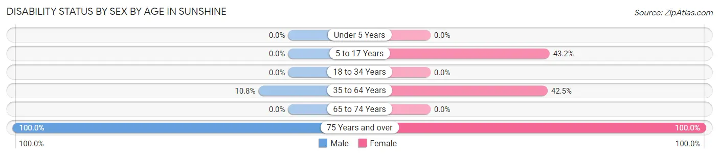 Disability Status by Sex by Age in Sunshine