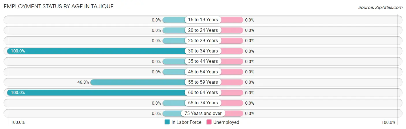 Employment Status by Age in Tajique